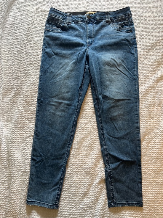 Democracy Denim - Democracy Women's Skinny Jeans in Blue Wash